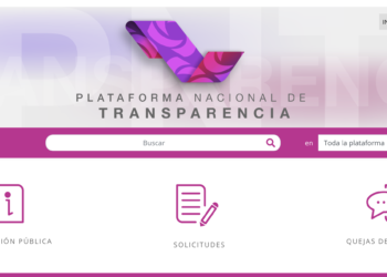 ¿Quieres conocer a alguien? Búscalo en la Plataforma Nacional de Transparencia