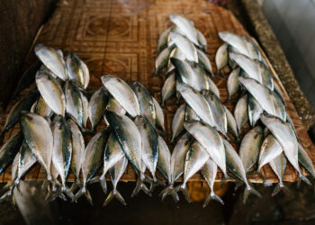 ¿Estás consumiendo pescados y mariscos limpios y en buen estado?