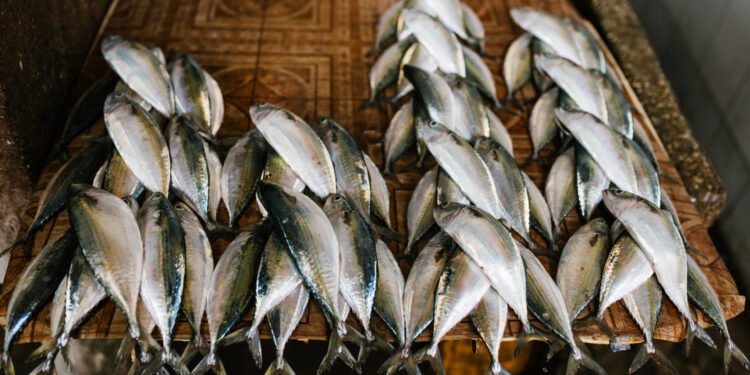 ¿Estás consumiendo pescados y mariscos limpios y en buen estado?