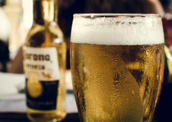 ¿Cuál es la fecha límite para el Canje de Licencias de Funcionamiento en Materia de Alcoholes?