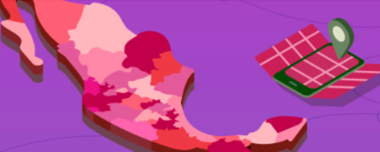 Aprueba INE Distritación Electoral en Guanajuato; ¿qué es y cómo queda el mapa?