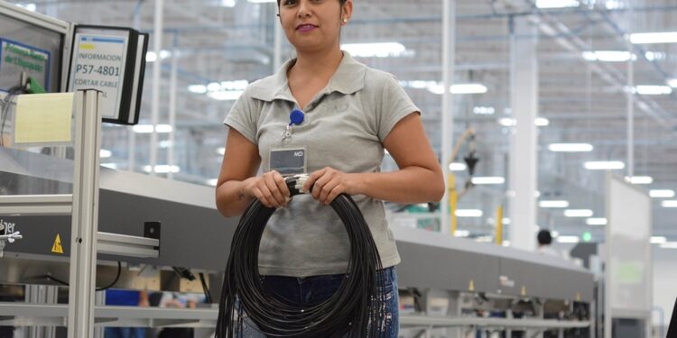 Instalan tomas públicas de agua potable en León