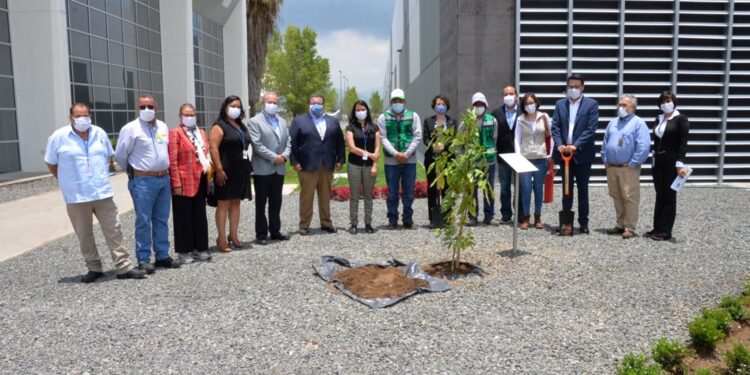 Pirelli adopta más hectáreas del ANP Cuenca de la Esperanza