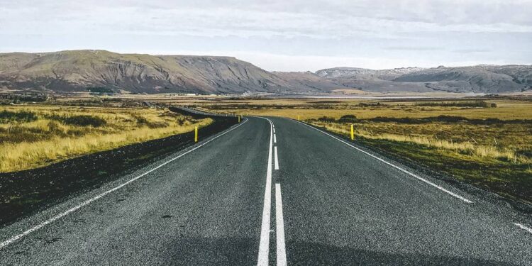 ¿Cómo obtengo o renuevo mi licencia de conducir en Guanajuato?