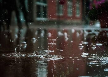 Inundaciones en Texas: ¿Cómo contactar a la Secretaría del Migrante de Guanajuato?