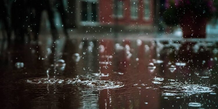 Inundaciones en Texas: ¿Cómo contactar a la Secretaría del Migrante de Guanajuato?