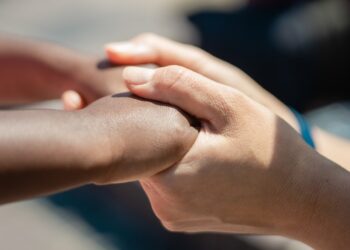 ¿Cuáles son los requisitos para adoptar en Guanajuato?