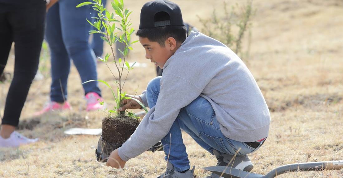 Participa en la reforestación de la comunidad San José de Otates