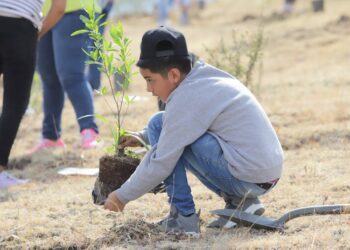 Participa en la reforestación de la comunidad San José de Otates