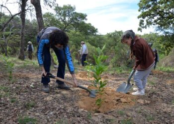 Crean nuevos ecosistemas en el ANP Cuenca de la Esperanza