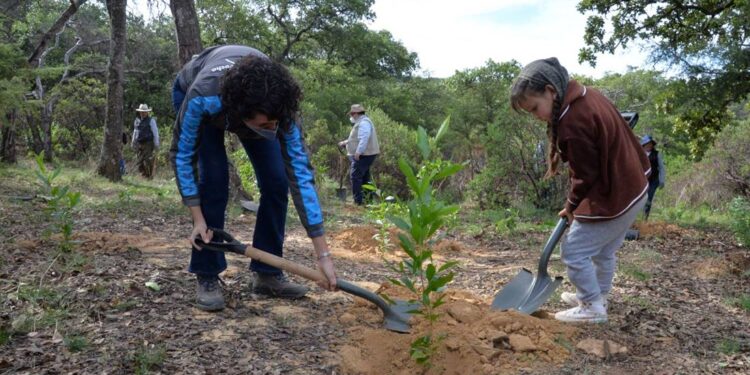 Crean nuevos ecosistemas en el ANP Cuenca de la Esperanza