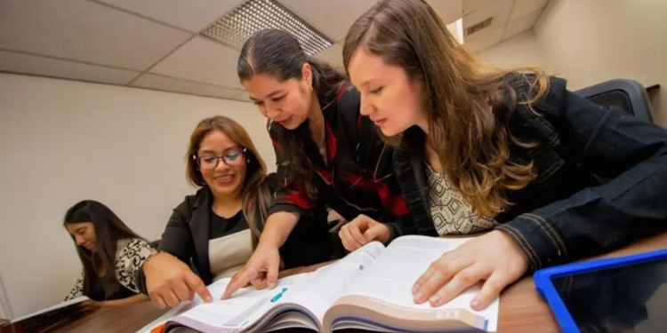 ¿Quieres iniciar o concluir la preparatoria? SEG ofrece tres opciones de oferta educativa no escolarizada