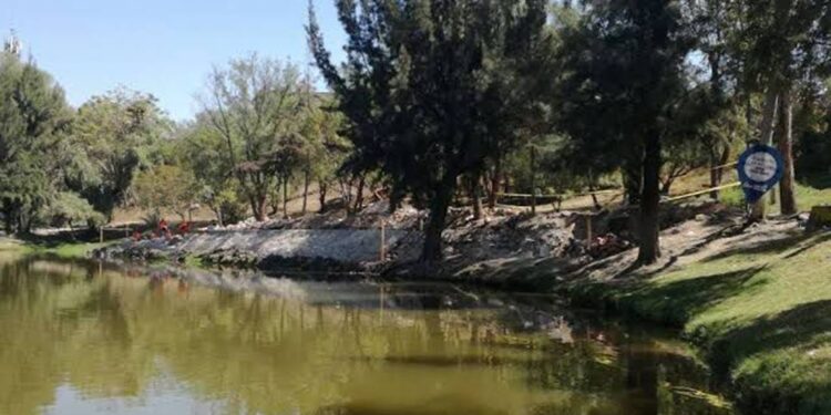 Acceso al Parque Chapalita de León será gratuito