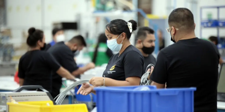 Grupo Tecnológico Harting y Denso México amplían sus instalaciones en Guanajuato