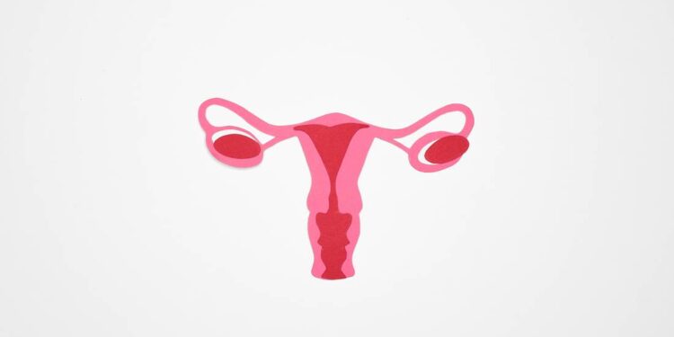 Guanajuato tiene siete clínicas de colposcopia para atender a mujeres sin derechohabiencia