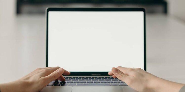 ¿Qué servicios puedes pagar en línea a través de Pagonet León?