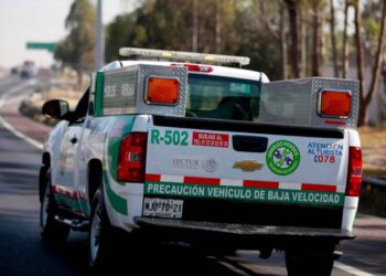 ¿Qué servicios ofrece la corporación Ángeles Verdes?