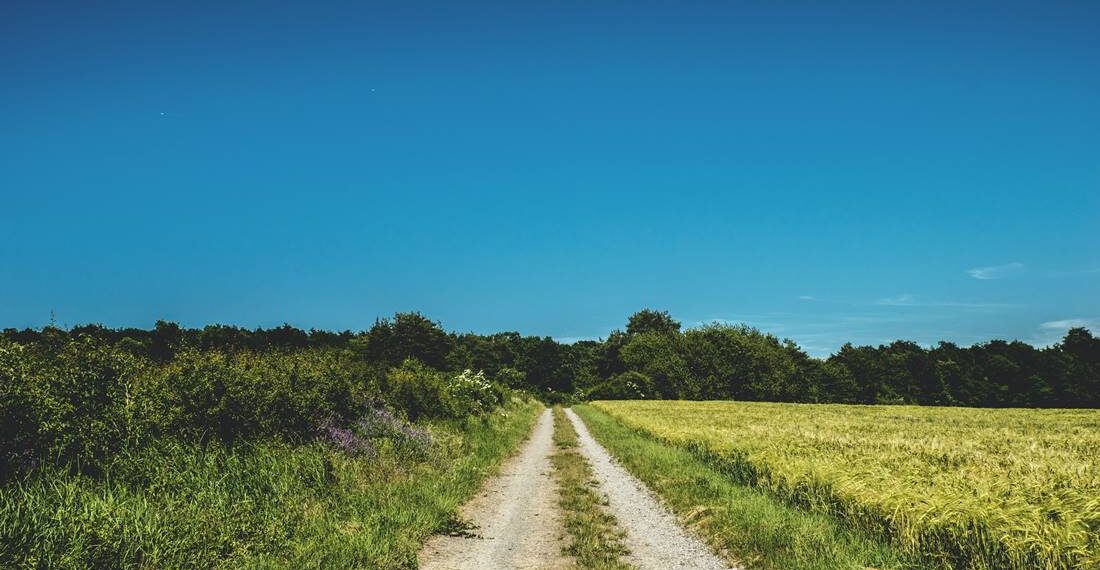 Entregan rehabilitación del camino Sauz de Cebolletas – El Lindero, en Coroneo
