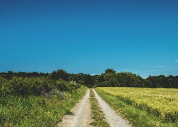 Entregan rehabilitación del camino Sauz de Cebolletas – El Lindero, en Coroneo