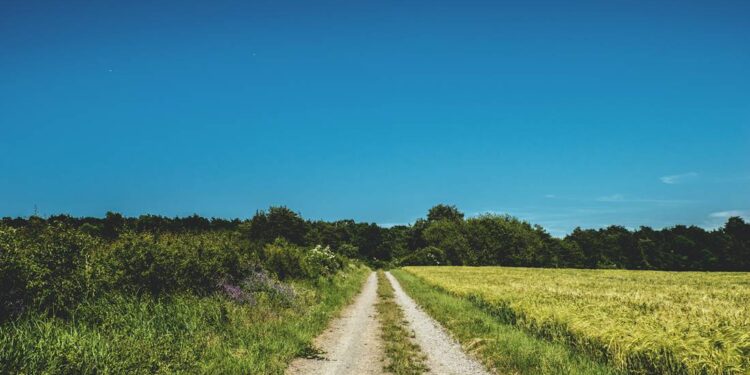Entregan rehabilitación del camino Sauz de Cebolletas – El Lindero, en Coroneo