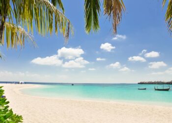 ¿Cuántos días de vacaciones deberá darte tu empleador a partir de este año?