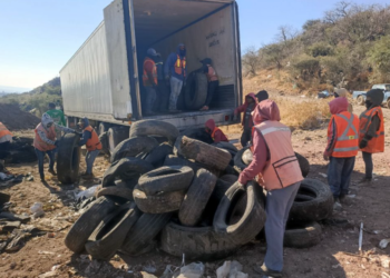Transforman neumáticos en insumos energéticos