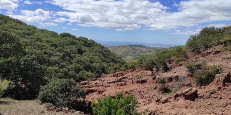 ¿Qué acciones a favor del medioambiente se hicieron en Guanajuato durante 2022?