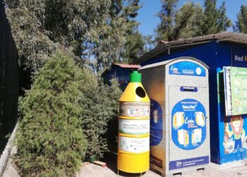 Todavía estás a tiempo para sumarte a la campaña “Recicla tu árbol”