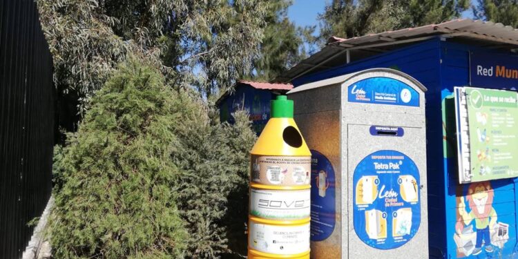 Todavía estás a tiempo para sumarte a la campaña “Recicla tu árbol”