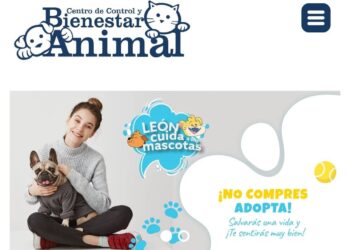 ¿Deseas adoptar una mascota en León? ¡Ahora puedes hacerlo en línea!