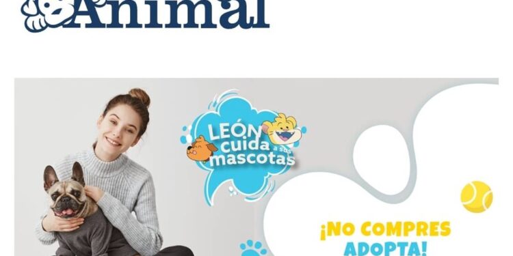 ¿Deseas adoptar una mascota en León? ¡Ahora puedes hacerlo en línea!