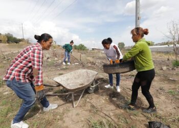 Lanza Gobierno de León convocatoria para el programa de empleo temporal “Ayúdate Ayudando”
