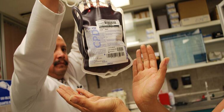 ¿Cuáles son los síntomas de la hemofilia?
