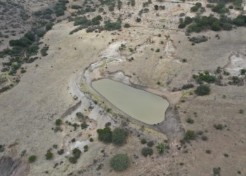 Alistan obras de bordería para captar agua de lluvia en Guanajuato