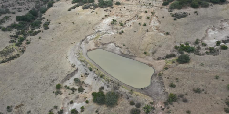 Alistan obras de bordería para captar agua de lluvia en Guanajuato
