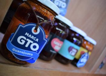 ¿Cuáles son las nuevas herramientas digitales de Marca GTO?