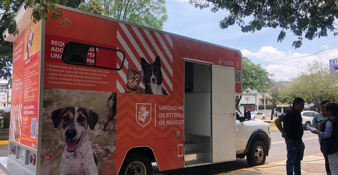 ¿Tienes mascotas? Realizarán Campaña Masiva de Esterilización y Adopción en León