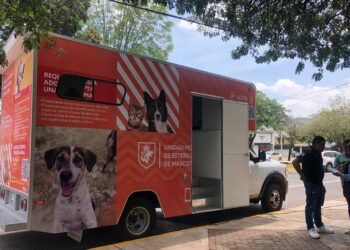 ¿Tienes mascotas? Realizarán Campaña Masiva de Esterilización y Adopción en León
