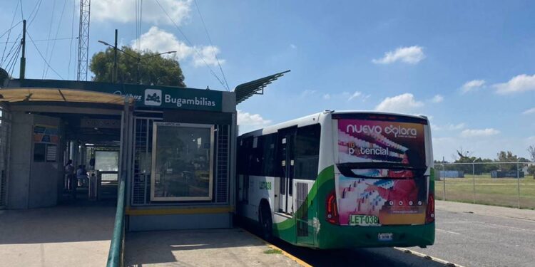 ¿Eres persona adulta mayor? Así puedes tramitar tu tarjeta gratuita del SIT León