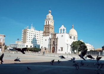 ¿Buscas trabajo? Ofertarán más de 400 empleos en Enlace Laboral Irapuato 2023