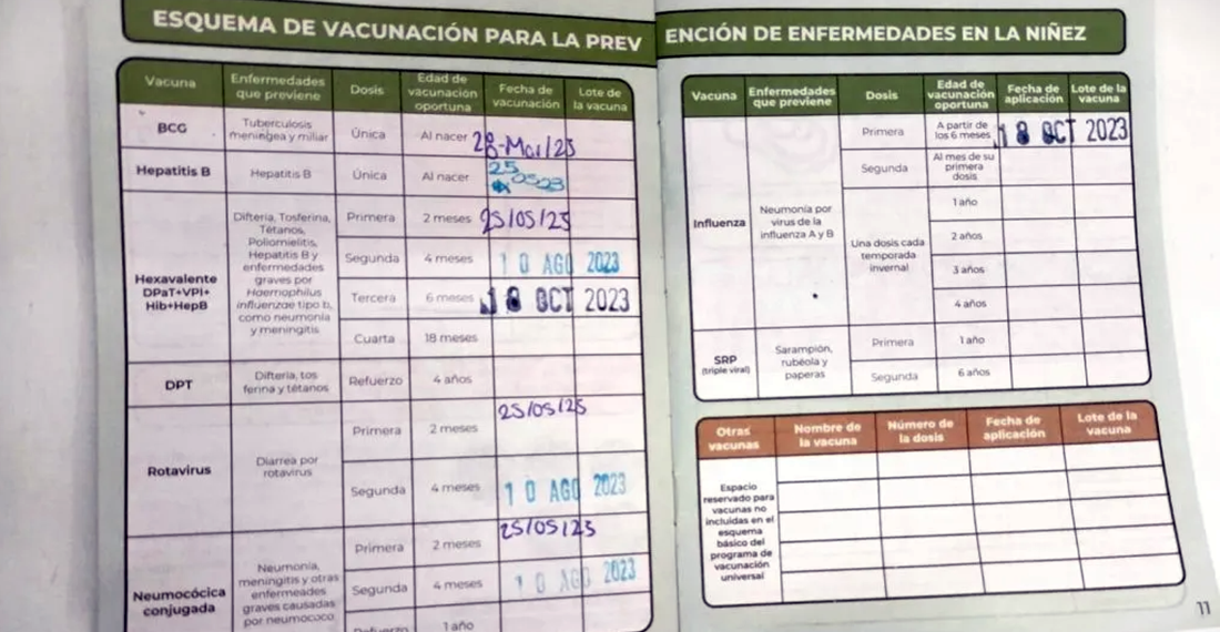 ¿Te aplicarás la vacuna contra influenza? No olvides llevar tu cartilla de vacunación