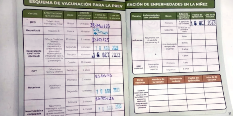 ¿Te aplicarás la vacuna contra influenza? No olvides llevar tu cartilla de vacunación
