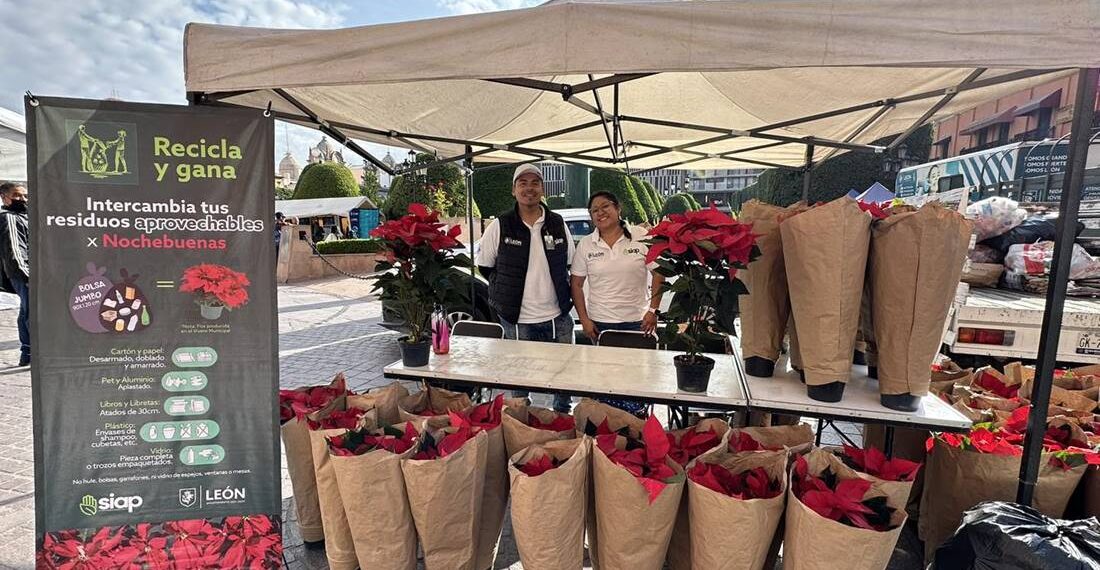 ¡Canjea tus reciclables por nochebuenas en León!