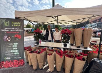 ¡Canjea tus reciclables por nochebuenas en León!