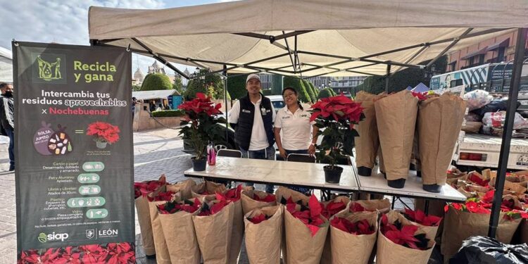 ¡Canjea tus reciclables por nochebuenas en León!