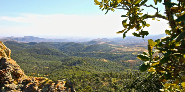 ¡Entérate! Se registran 4 nuevas especies de fauna en Guanajuato
