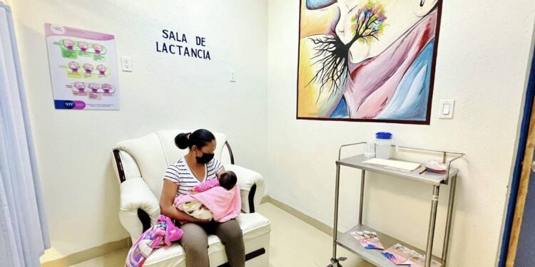 ¿A qué proyecto se destinaron los recursos recaudados por impuestos ecológicos de 2023?