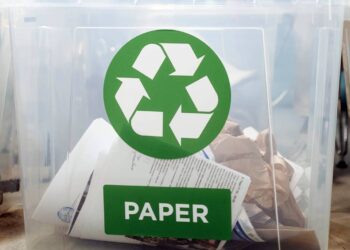 Lanzan convocatoria para el programa Buenas Prácticas Ambientales 2024