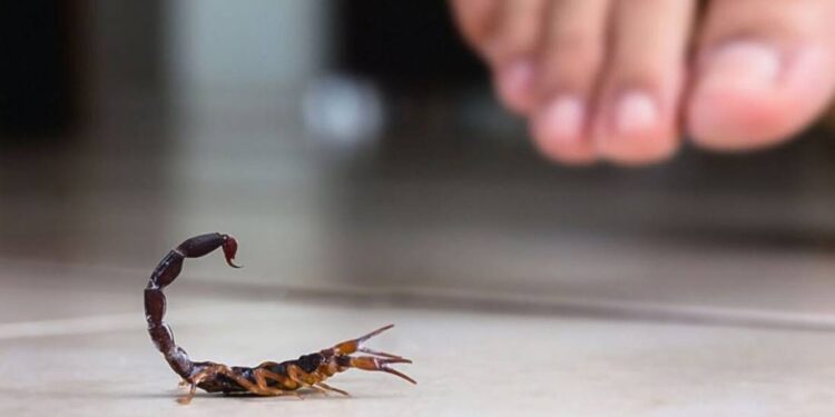 Empresas asiáticas anuncian importantes inversiones en Guanajuato