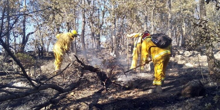 ¡Súmate! Habilitan centros de acopio para apoyar a combatientes del incendio en la Sierra de Santa Rosa